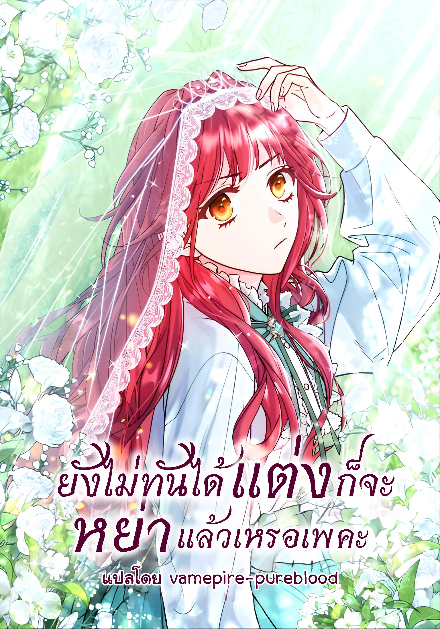 how-can-there-be-a-divorce-when-we-havent-even-married-your-majesty