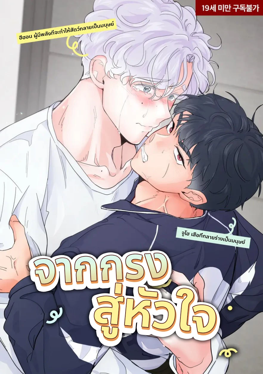 tiger-039-s-birthday-rice-cake