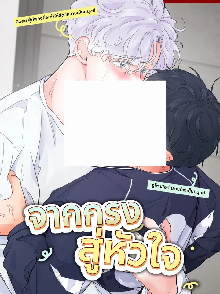 tigers-birthday-rice-cake